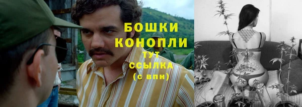 стафф Верея