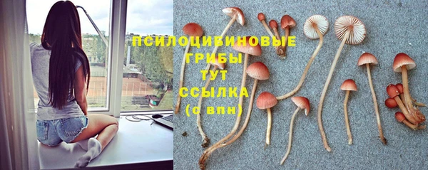 МДМА Верхний Тагил