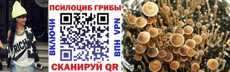 OMG как войти  купить  сайты  darknet какой сайт  Псилоцибиновые грибы Magic Shrooms  Рузаевка 