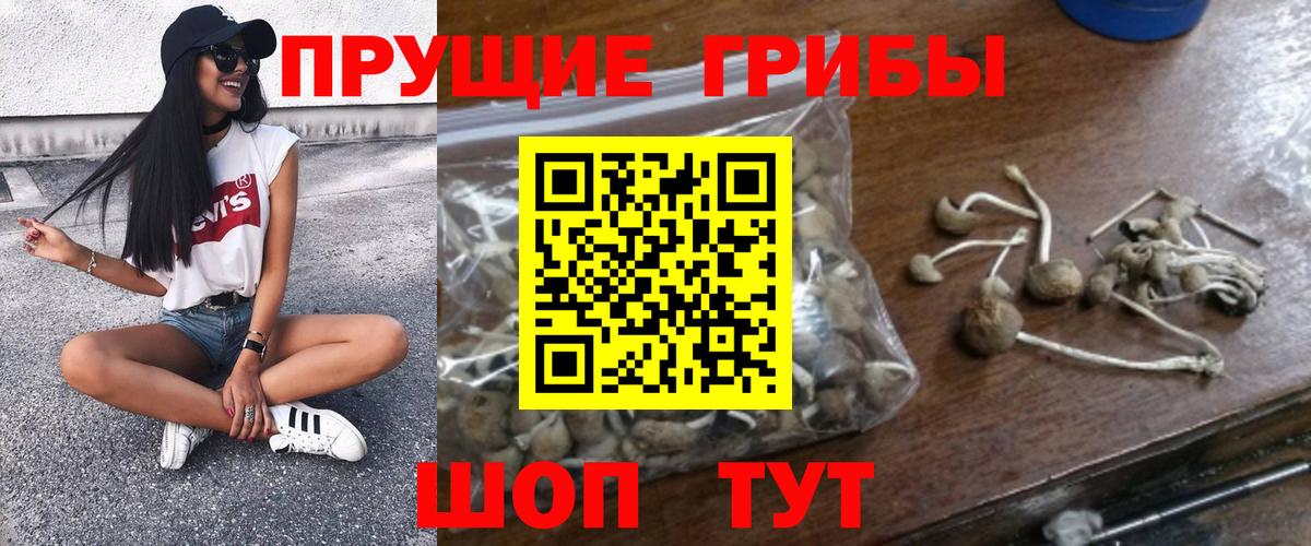 Рузаевка  Псилоцибиновые грибы MAGIC MUSHROOMS  Галлюциногенные грибы MAGIC MUSHROOMS  Вход с VPN 