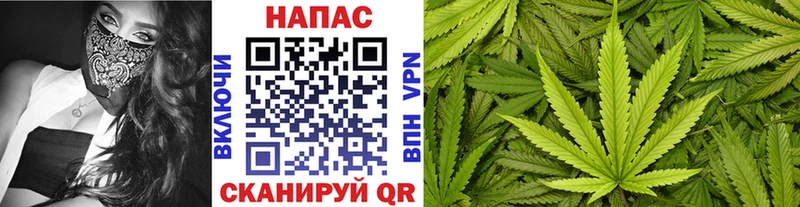 Бошки марихуана индика  Рузаевка 